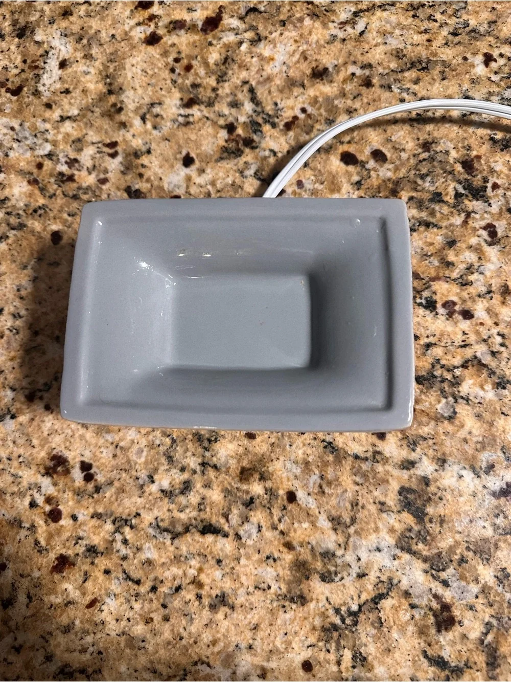 Scentsy- Wherever I’m with you warmer